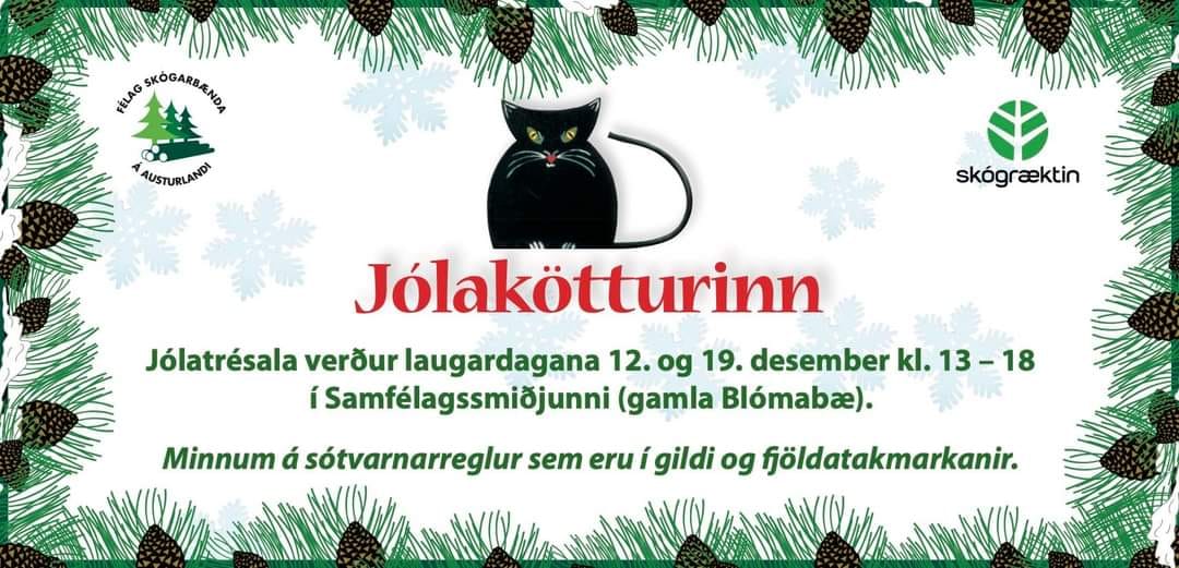Auglýsing markaðarins