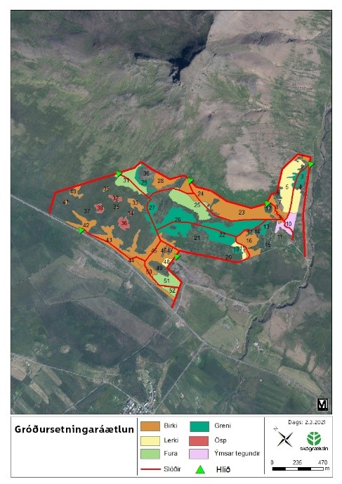 Emphasis will be placed on native downy birch, Sitka spruce and black cottonwood to begin with, but when the forest begins to form shelter, there will be an opportunity to plant other species to increase diversity. Map: Benjamín Örn Davíðsson 