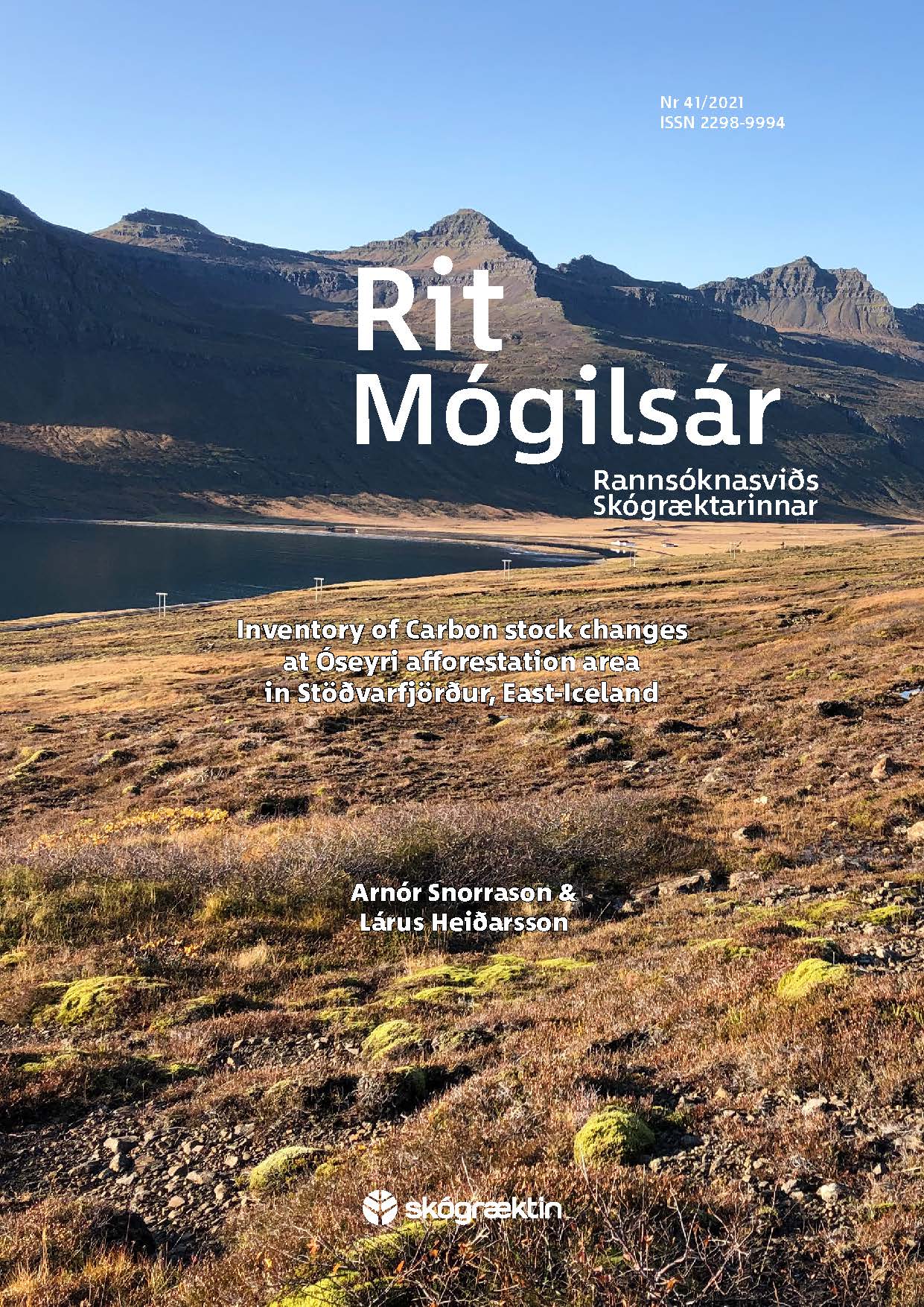 Forsíða 41. tölublaðs