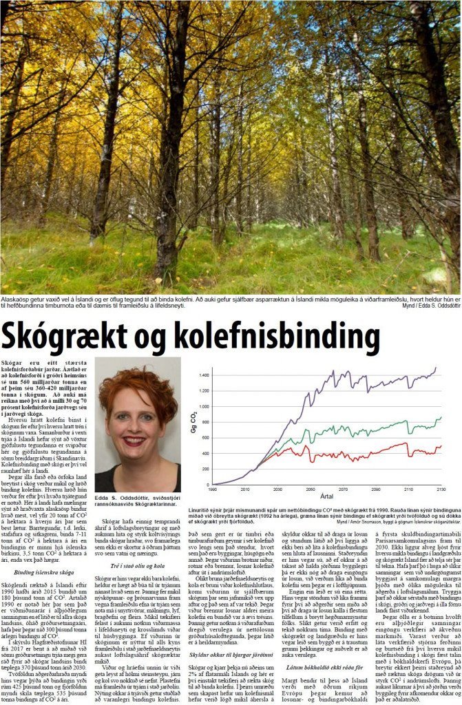Skograekt_og_kolefnisbinding Grein Eddu í Bændablaðinu