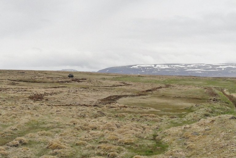 Þessi mynd sýnir jarðvinnslu fyrir grenibeltin á Gauksmýri, horft til austurs.