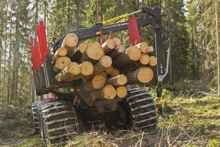 Samkvæmt opinberum tölum var aflað 61,8 milljóna rúmmetra viðar í finnsku skógunum á síðasta ári, 3,3 milljónum rúmmetra meira en árið áður. Á þessu ári er því spáð að á þessu ári verði framleiðsla flettiefnis nálægt því sem mest var um síðustu aldamót. Mynd: Erkki Oksanen.