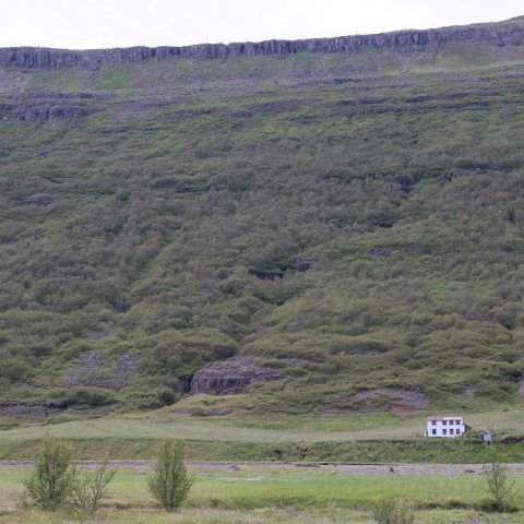 Arnaldsstaðaskógur í Suðurdal Fljótsdals er brúnn á að líta en efst í hlíðinni virðist hann grænni. Ljósmynd: Pétur Halldórsson