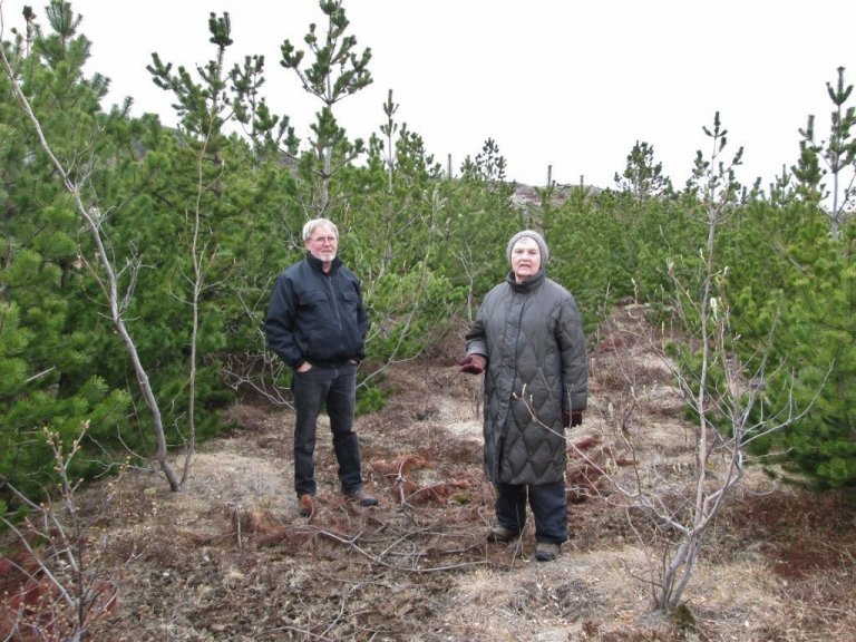 Njörður Geirdal og Sigurbjörg Snorradóttir, skógarbændur að Galtalæk í Biskupstungum, standa hér í skógarlundi í Ölfusi sem Aðalsteinn Sigurgeirsson hefur ræktað upp þar sem aðeins var ber melurinn fyrir tuttugu árum. Mynd: Aðalsteinn Sigurgeirsson.