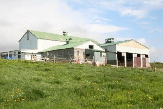 Fjós og fjárhús að Skógum ásamt nokkrum hluta af túnum er nýtt af bóndanum á Valþúfu