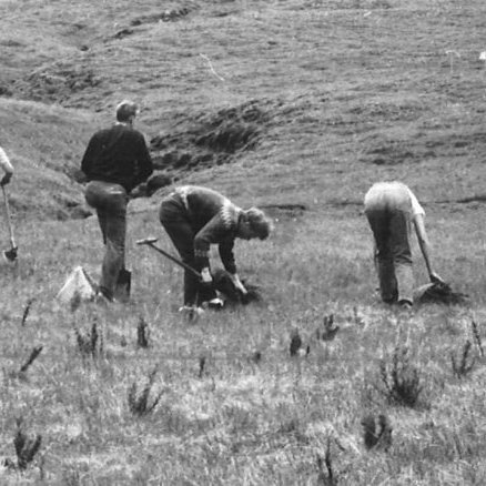 Plöntunarflokkur Skógræktarinnar á Hallormsstað tók við af landeigendunum og setti niður þennan dag og þann næsta 8.100 lerkiplöntur í landi Víðivalla ytri. Mynd: Halldór Sigurðsson - myndasafn Skógræktarinnar