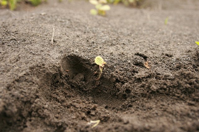 frett_02072010_3