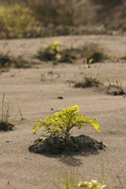 frett_09062010_102