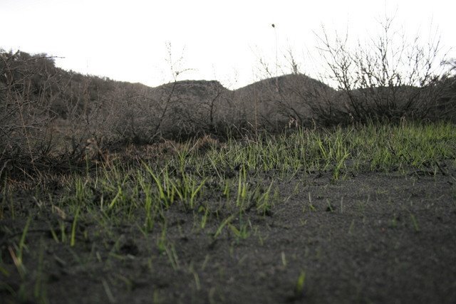 frett_09062010_112