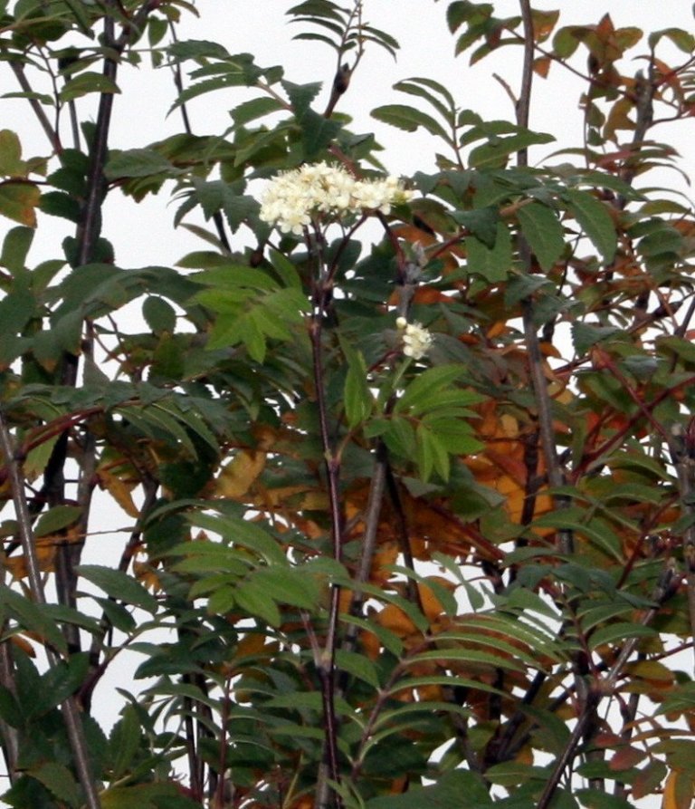 frett_12102010_2