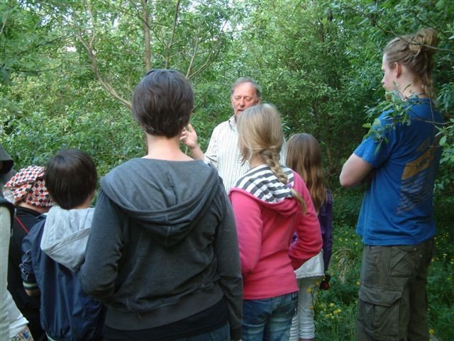 frett_28062010_5