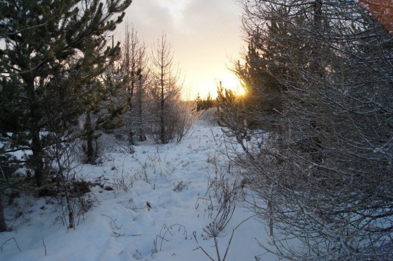 frett_22122011_5