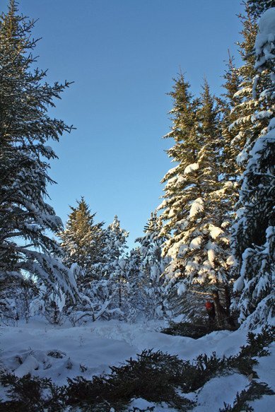 frett_09022011_13