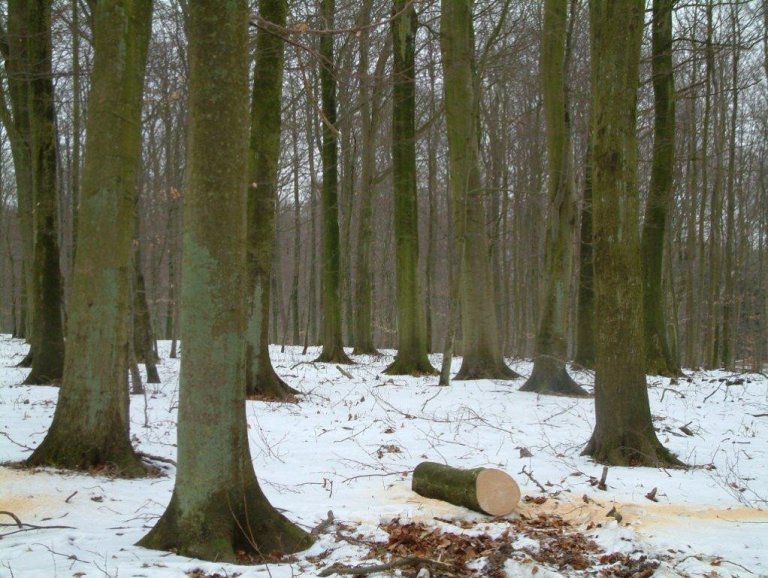 frett_17032011_11