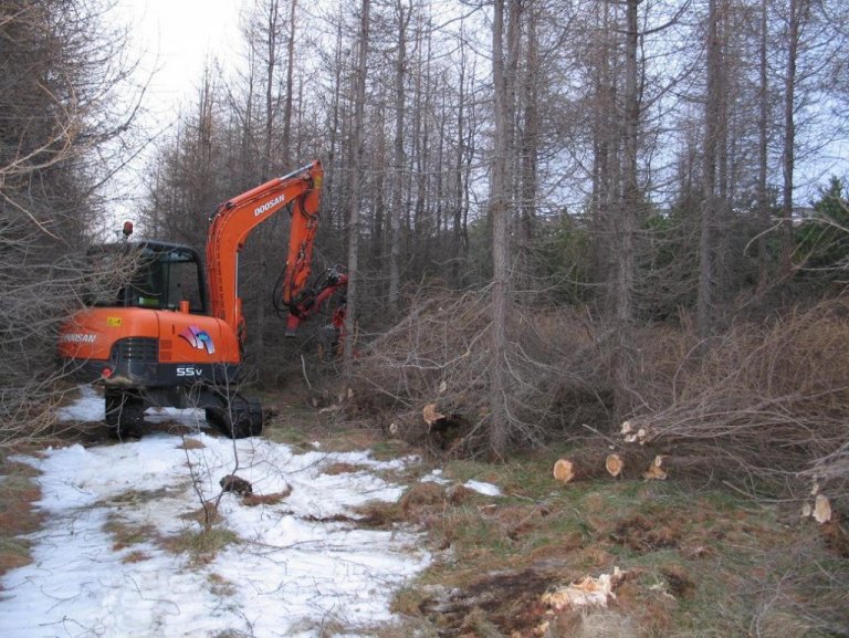 frett_18022011_4