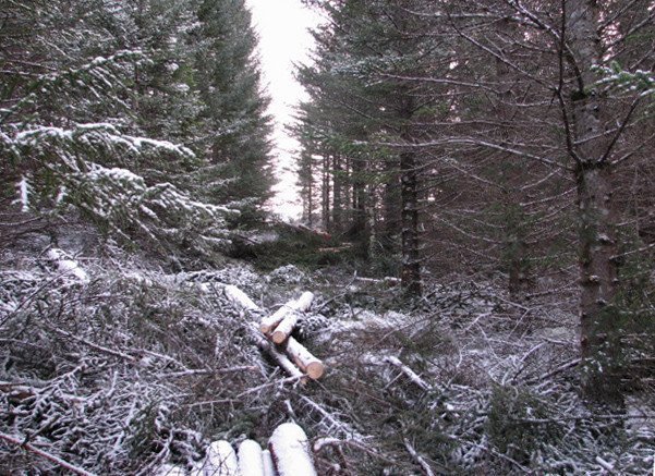 frett_20012011_4
