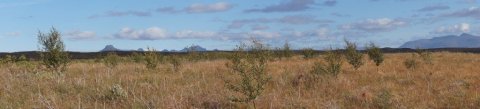 frett_03102011_4