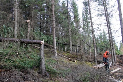 frett_11112011_2