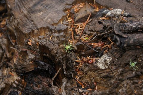 frett_28092011_5