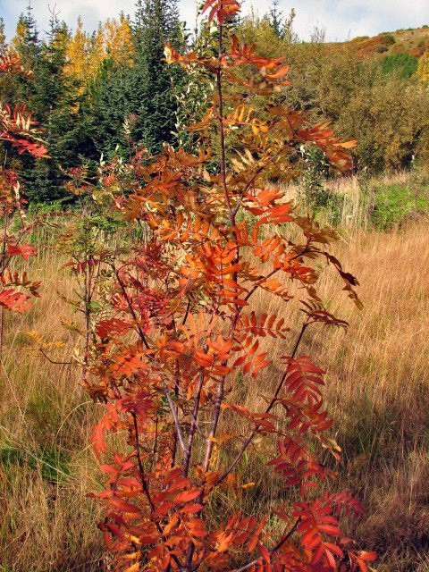 28092012-(4)