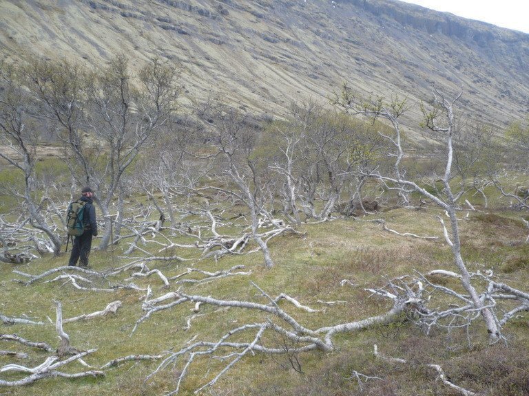 p1100705