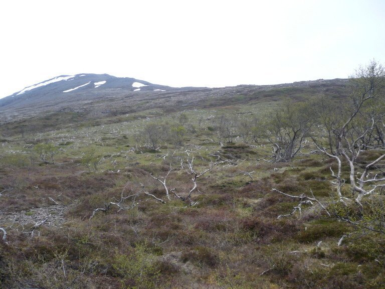 p1100718