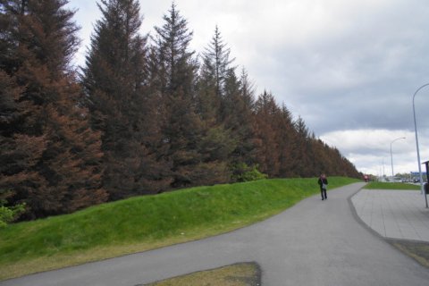 dsc03287
