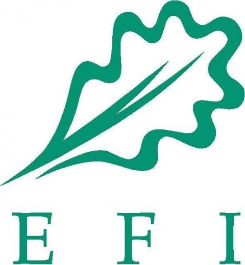logo_efieps