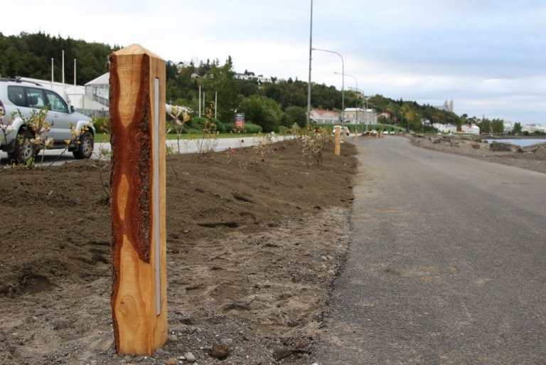 Rúmlega eitt hundrað ljósastaurar með innfelldri díóðulýsingu hafa verið settir upp við nýjan útivistarstíg með fram Drottningarbraut á Akureyri. Staurarnir voru smíðaðir úr lerki úr reitum Skógræktarfélags Eyfirðinga.