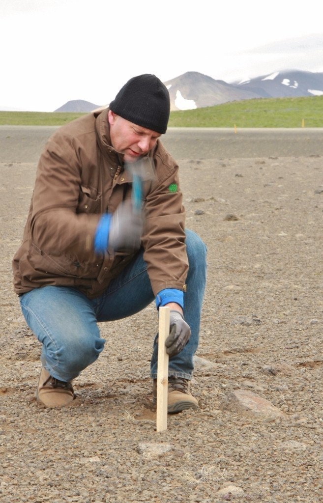 Brynjar rekur niður hæla með merki fyrir plöntuhóp í tilrauninni.