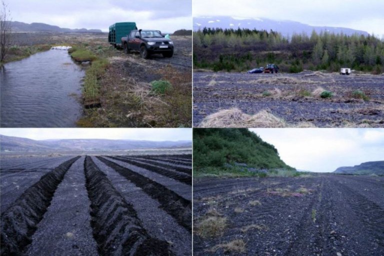 Myndir af svæðinu þar sem m.a. sést TTS-herfing og rákir eftir C12- gróðursetningarvél. Myndir: Hreinn Óskarsson.