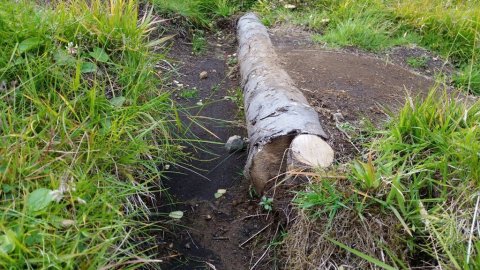 Þessi trjábolur vísar vatninu rétta leið og stöðvar þar með rof. Landið grær upp og myndar þéttari þekju sem tekur betur við vatni.