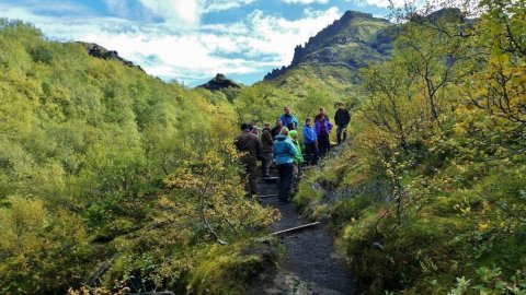 Birkið sækir stöðugt fram í Þórsmörk og nágrenni. á árabilinu 1989-2014 stækkaði birkiskóglendið um meira en helming, úr 4 ferkílómetrum í 14.