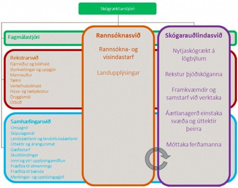 Gert er ráð fyrir því í tillögunum að Skógræktin skiptist í fjögur svið, rannsóknasvið, skógarauðlindasvið, fjármálasvið og samhæfingarsvið. Jafnframt að ráðið verði í nýja stöðu fagmálastjóra..