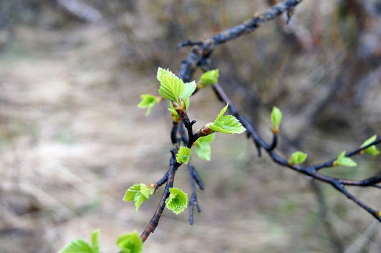DSC07820_bb