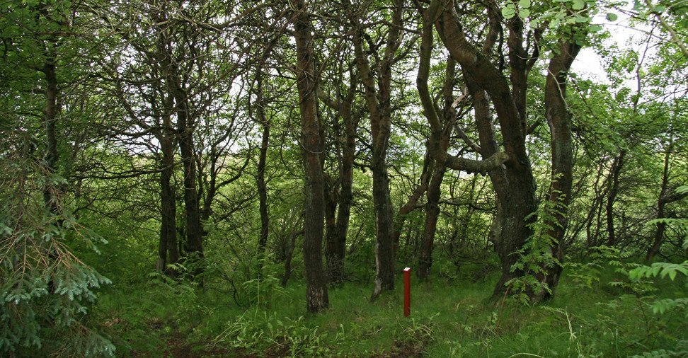 Í Grundarreit