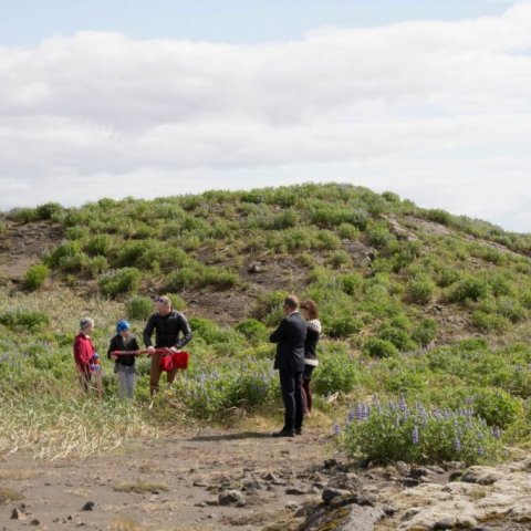 Skólabörn í Þorlákshöfn gróðursetja á Hafnarsandi 3