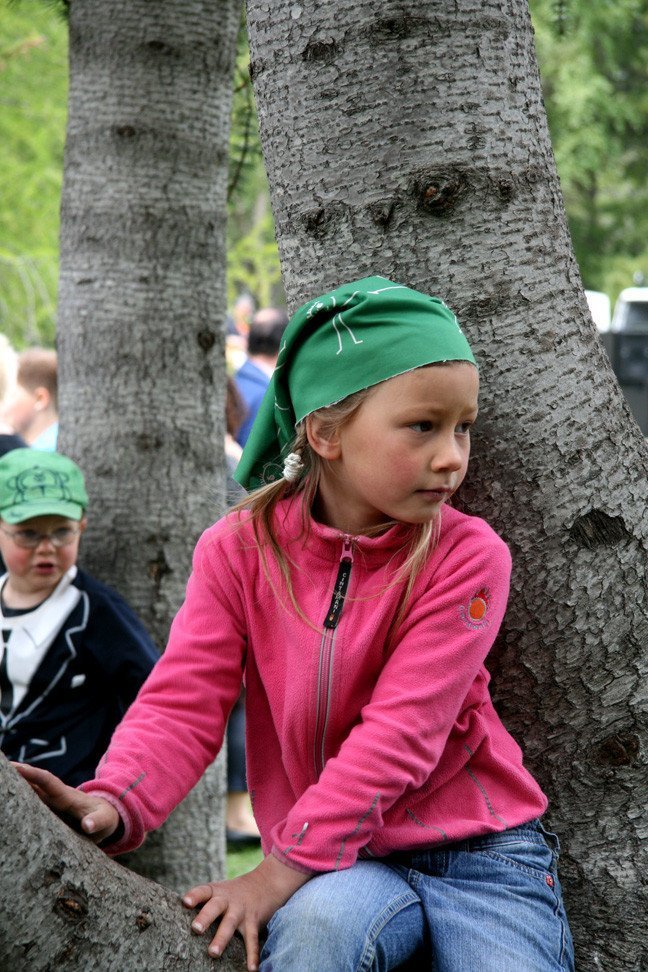 Skógardagurinn mikli 2009