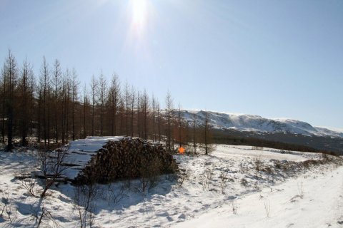 IMG_6788_b