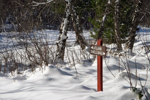 IMG_6819_b