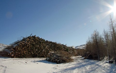 IMG_6859_b