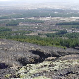 Haukadalur