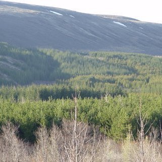 Haukadalur