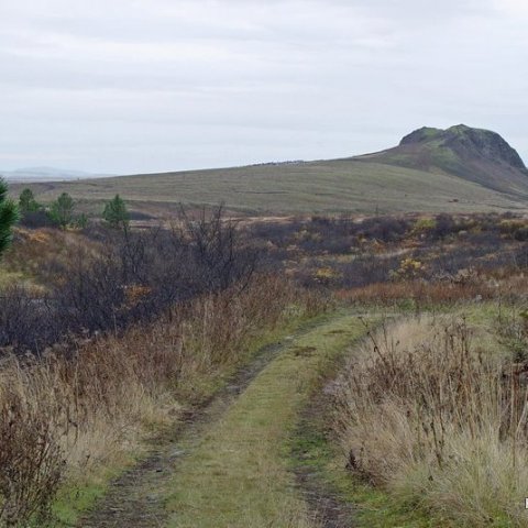 Haukadalsskógur