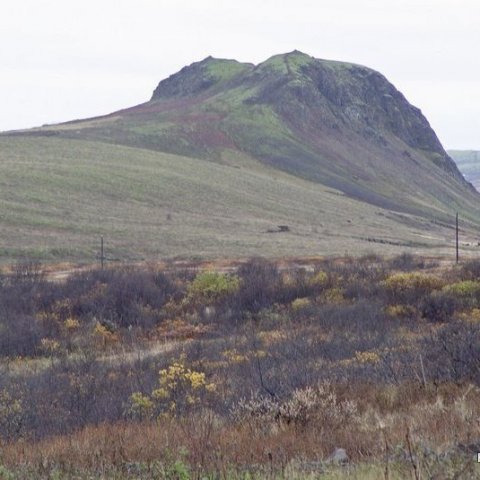 Haukadalsskógur