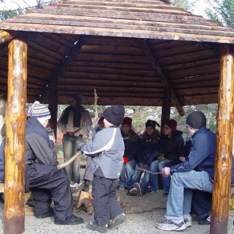 Haukadalsskógur