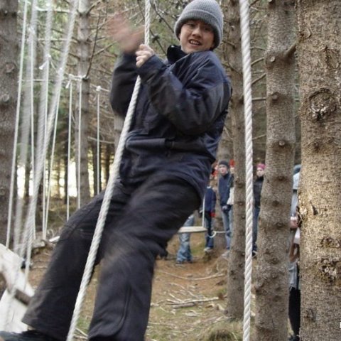 Haukadalsskógur