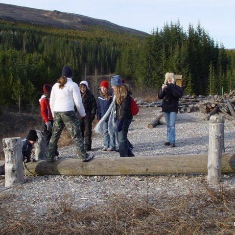 Haukadalsskógur
