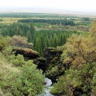 Haukadalur