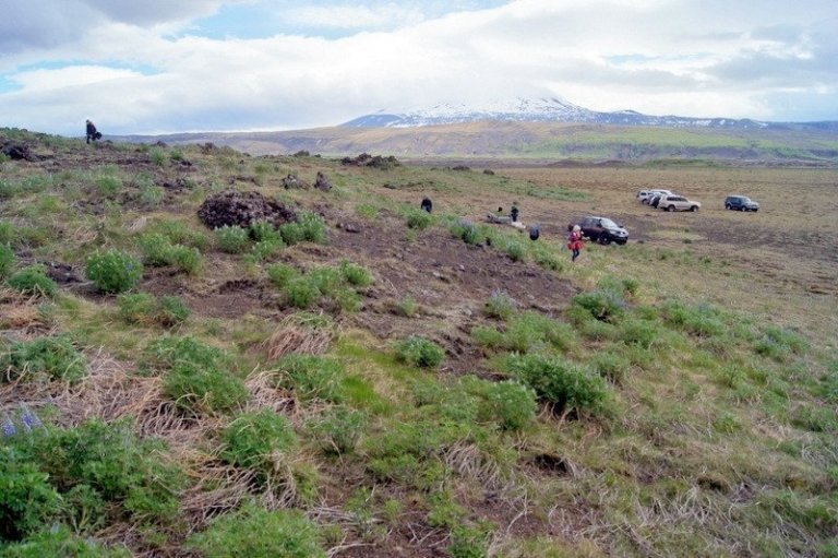Slóðavinir og nokkrir mótorhjólaklúbbar unnu að uppgræðslu á Vaðöldu og landsvæði norðan við þjóðveginn að Hrauneyjum við Þjórsá eins og undanfarin ár og þar er árangur góður.